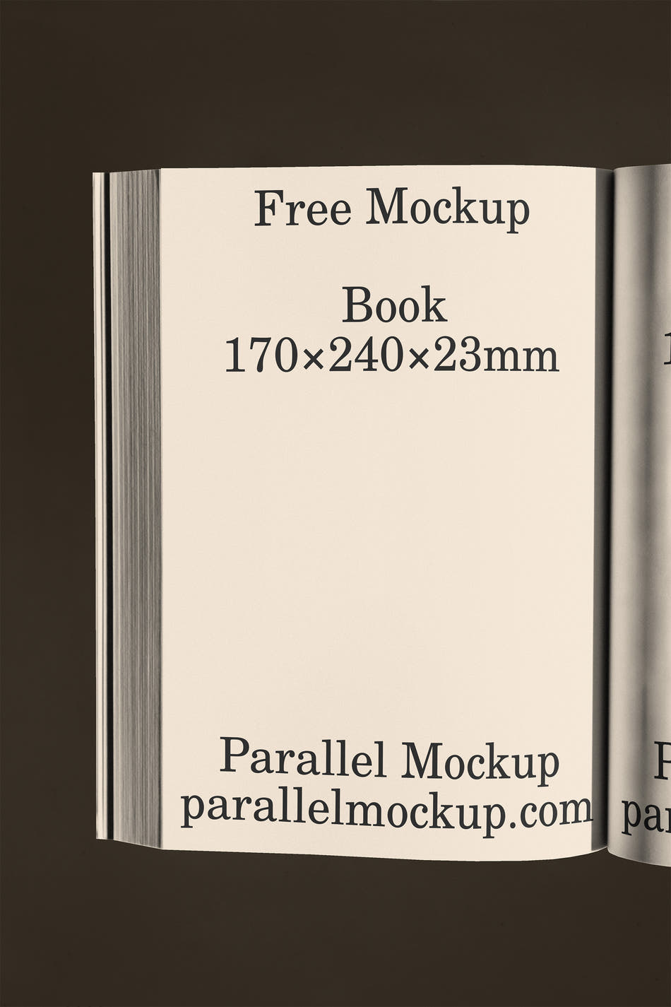 Book Mockup FREE-07 - Secondary preview