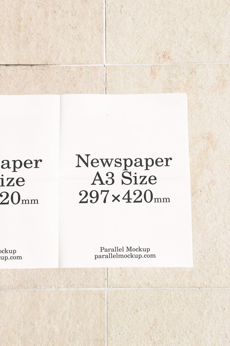 Newspaper Mockup OF-B-21 - Main preview