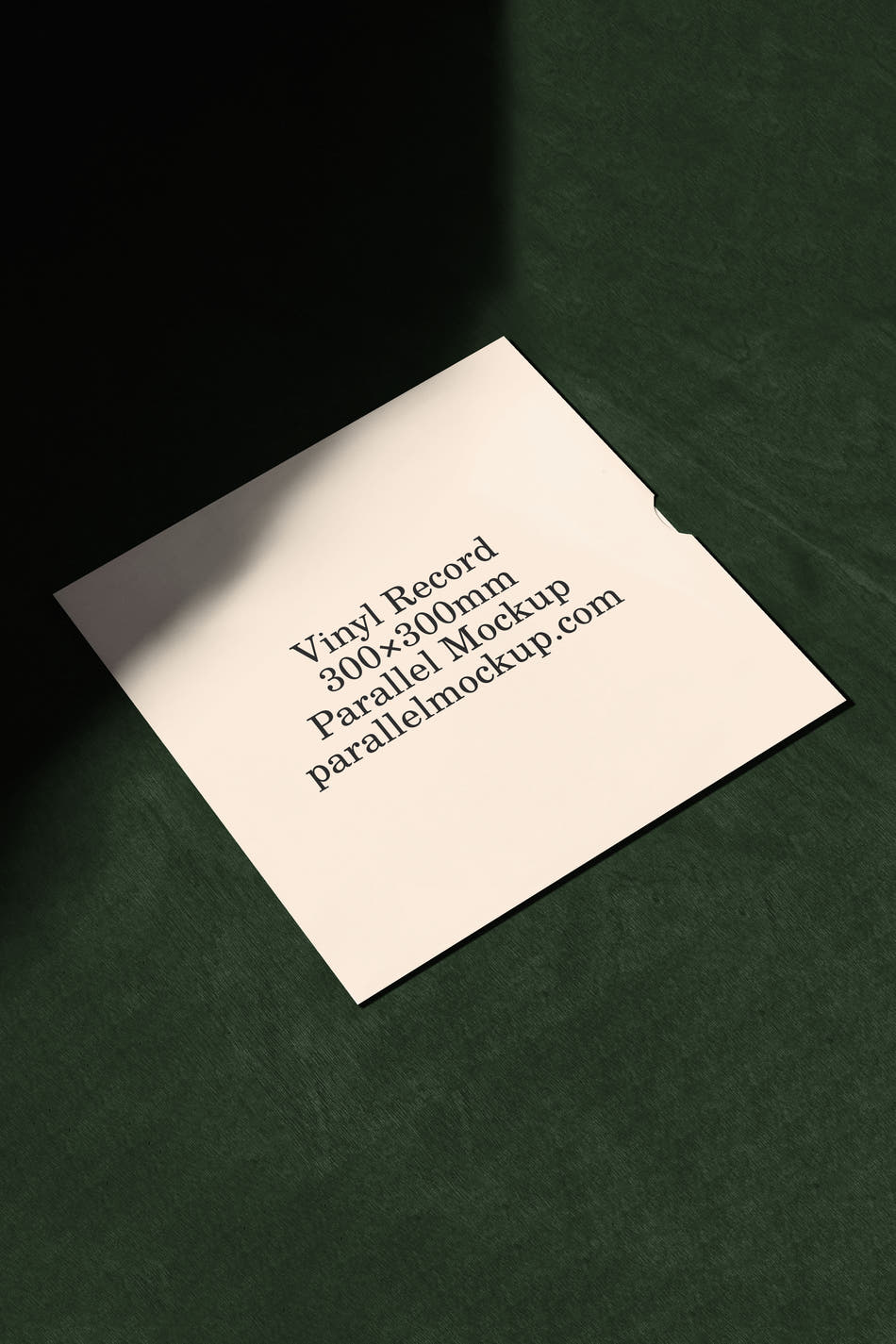 Vinyl Record Mockup OF-B-32 - Secondary preview