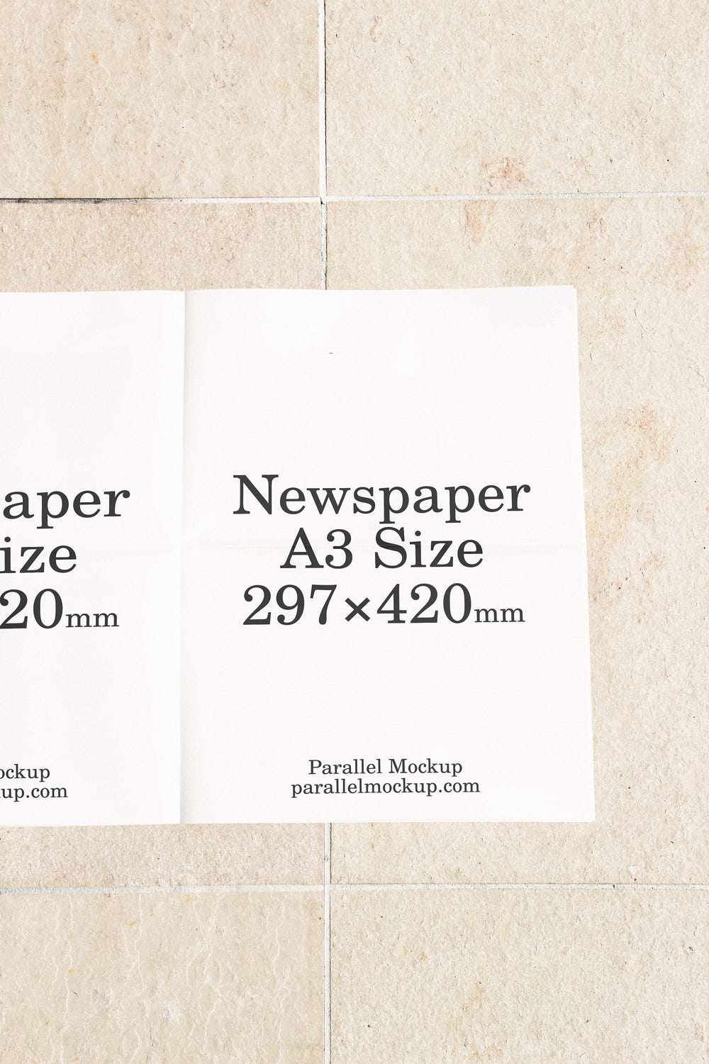 Newspaper Mockup OF-B-21 - Newspaper Mockup OF-B-21 - 1 of 2