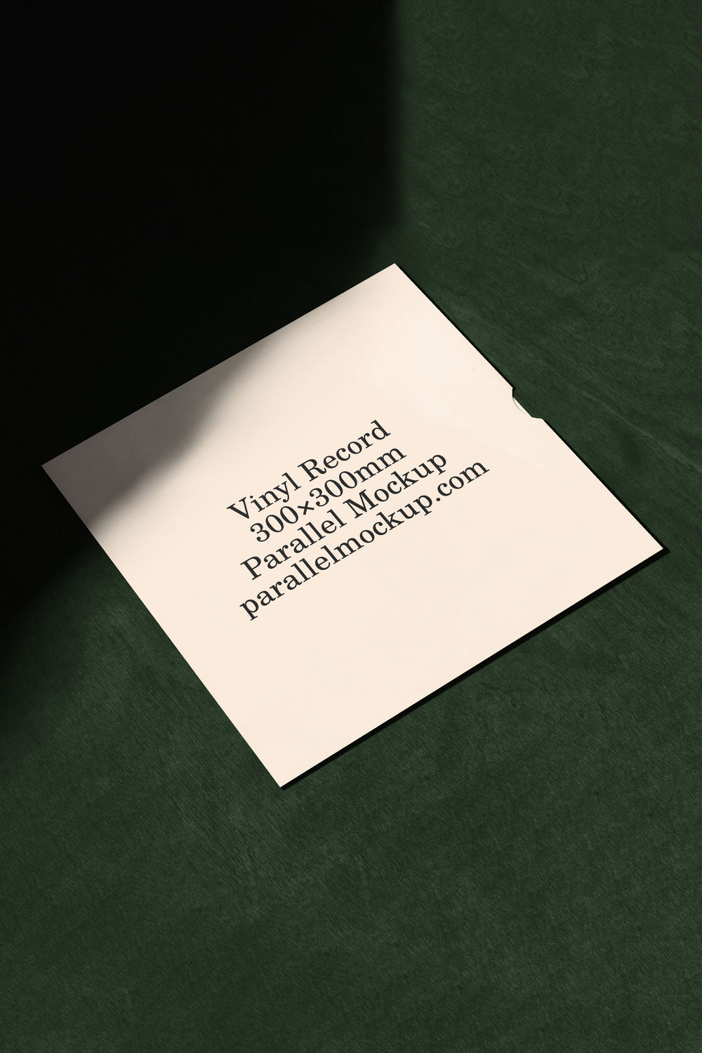 Vinyl Record Mockup OF-B-32 - Vinyl Record Mockup OF-B-32 - 2 of 2