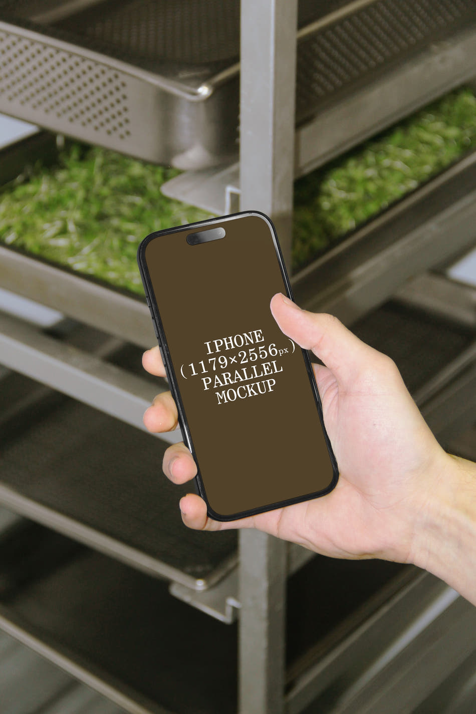 iPhone BI-A-12 - iPhone BI-A-12