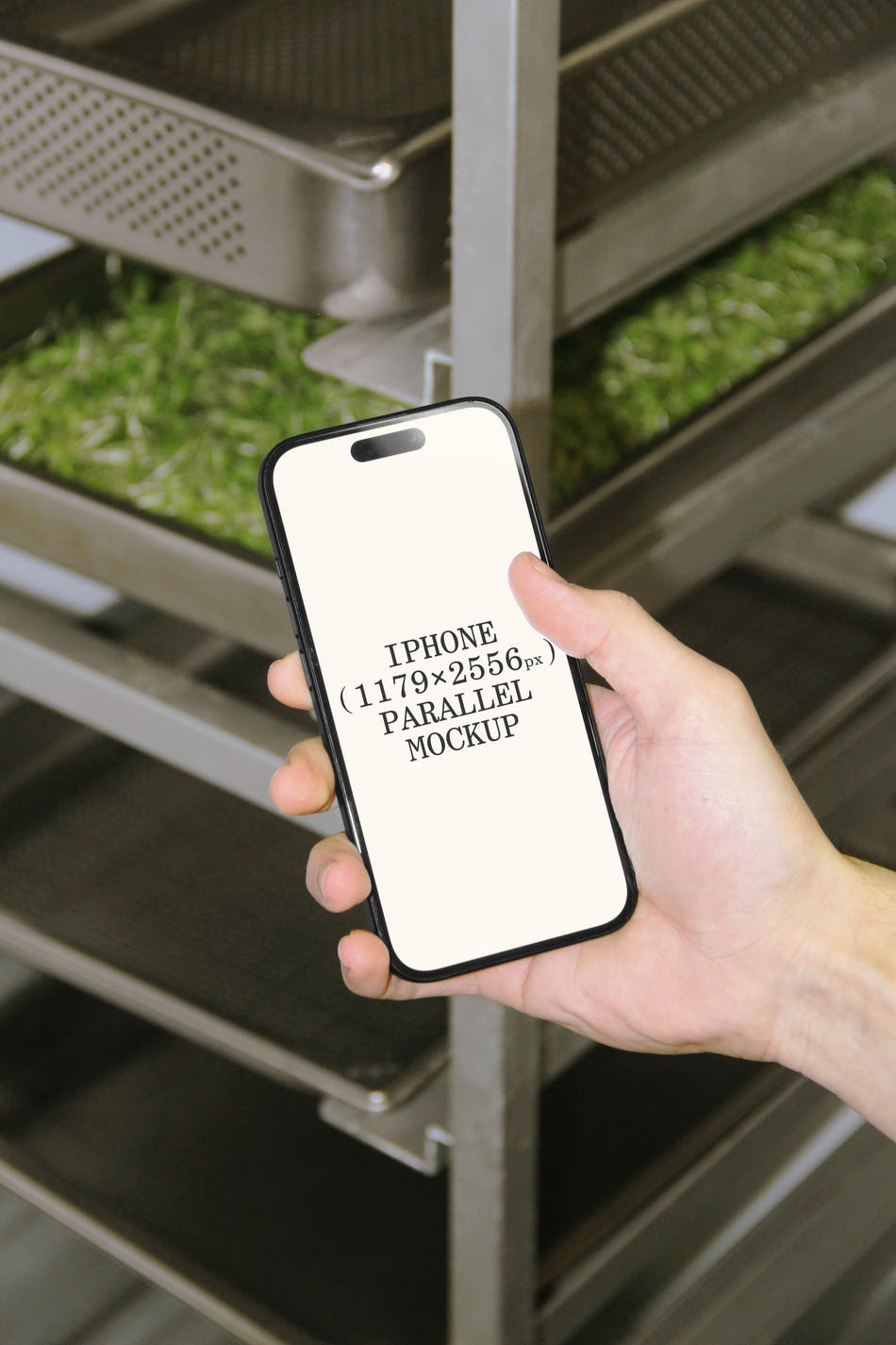 iPhone BI-A-12 - iPhone BI-A-12